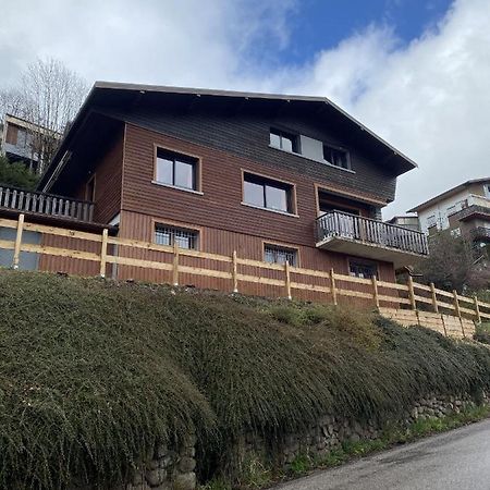 Chalet Les Trois Vallees Villa La Bresse Ngoại thất bức ảnh